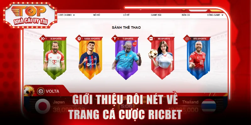 Giới thiệu đôi nét về trang cá cược Ricbet