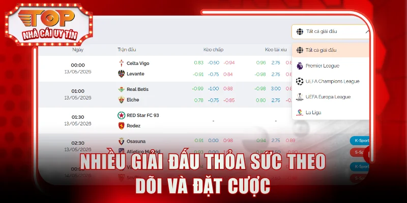 Nhiều giải đấu thỏa sức theo dõi và đặt cược
