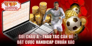 Soi châu Á